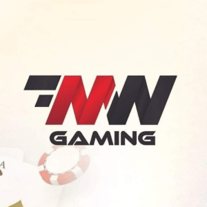 is mwgaming secure
