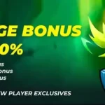 Recharge bonus upto 100%