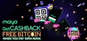 PLAY MAYA LOGIN 200